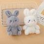 Baby Rabbit Key Chain