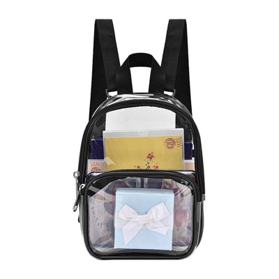 Mini Backpack Transparent