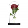 decoration custom marketing products roses that light up