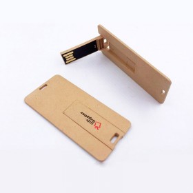 Eco-Friendly USB Sticks